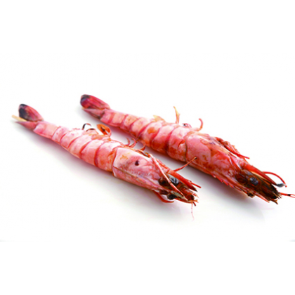 Y11 Ebiyaki (Gambas)